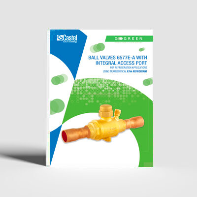 Ball valves 6577e-a with integral access port